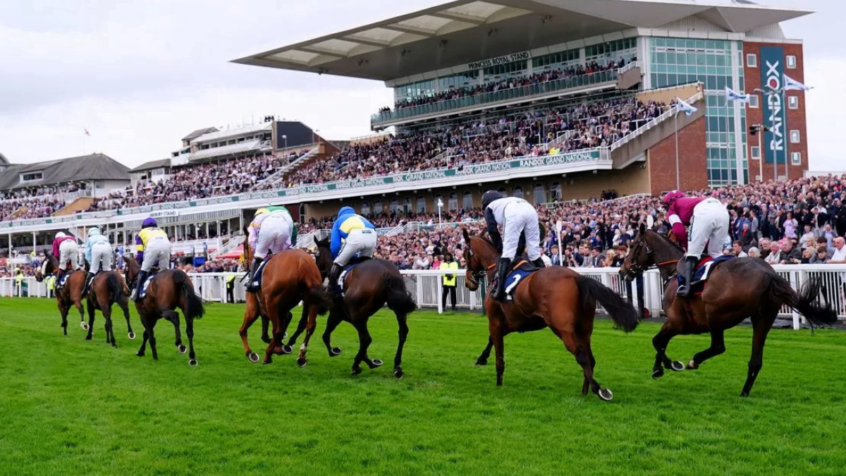 Grand National 2024 Expert Tips And Top Horses To Watch At Aintree