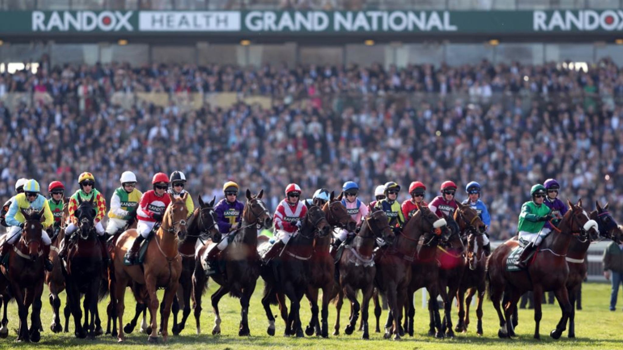 grand national runners